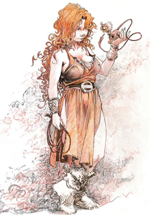 Pelisse Loisel the quest of the time bird