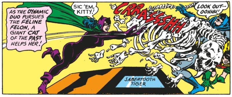 Catwoman DC Comics
